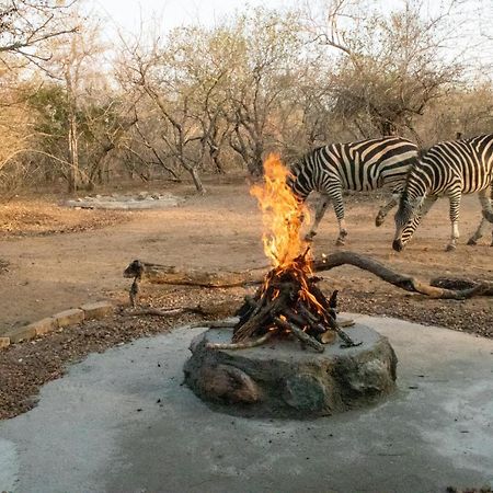 Hello Kruger Hideaway Cottage & Skilpad Studio Marloth Park Zewnętrze zdjęcie