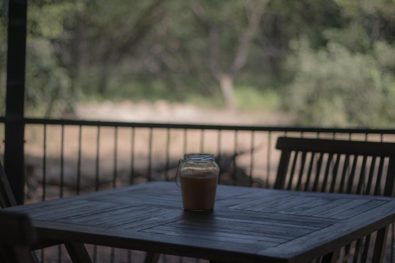 Hello Kruger Hideaway Cottage & Skilpad Studio Marloth Park Zewnętrze zdjęcie