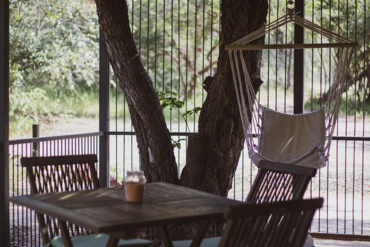 Hello Kruger Hideaway Cottage & Skilpad Studio Marloth Park Zewnętrze zdjęcie
