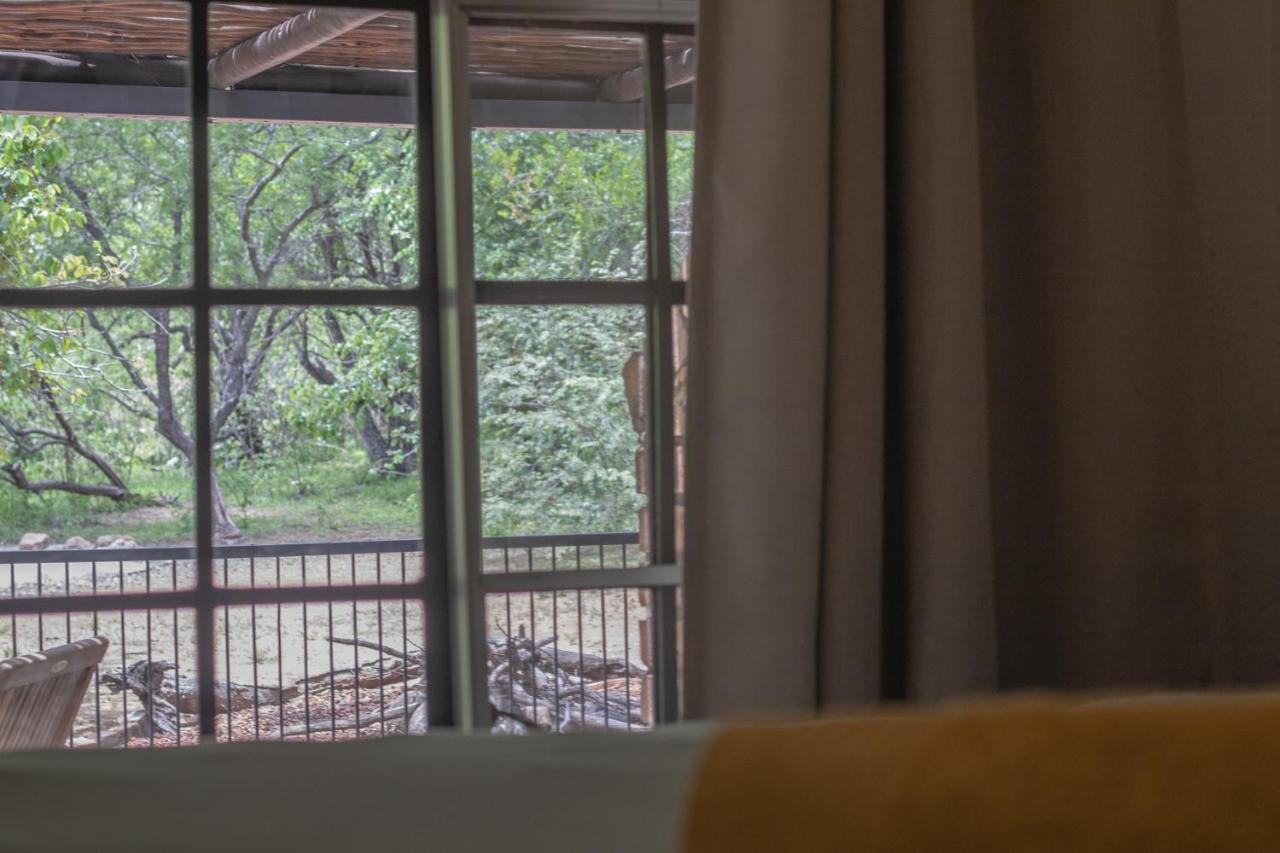 Hello Kruger Hideaway Cottage & Skilpad Studio Marloth Park Zewnętrze zdjęcie