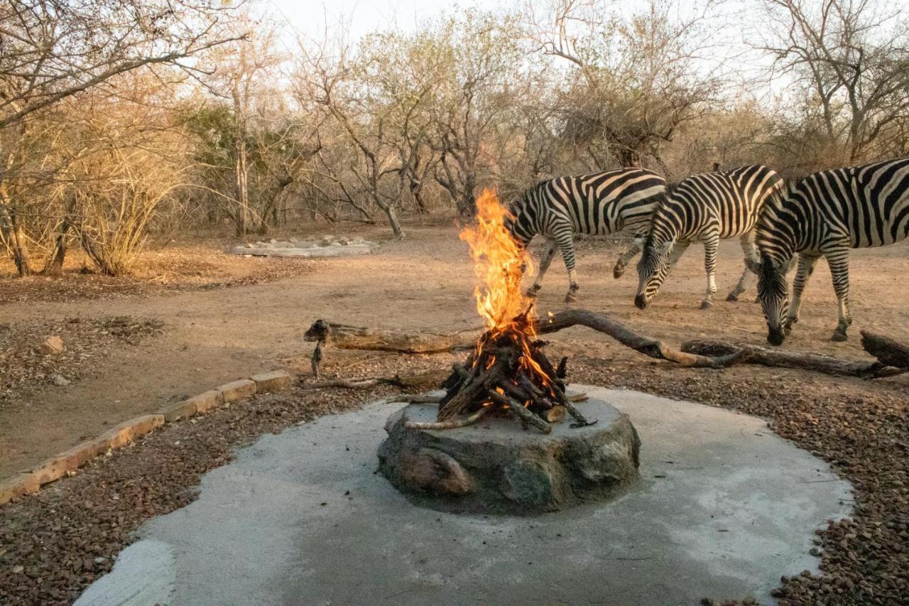 Hello Kruger Hideaway Cottage & Skilpad Studio Marloth Park Zewnętrze zdjęcie